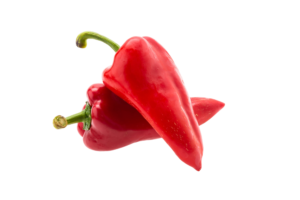 freepik__background__88912