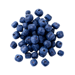 freepik__background__97832